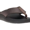 ABEO Alpha- Medium | Active