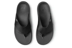 ABEO Alpha- Medium | Active