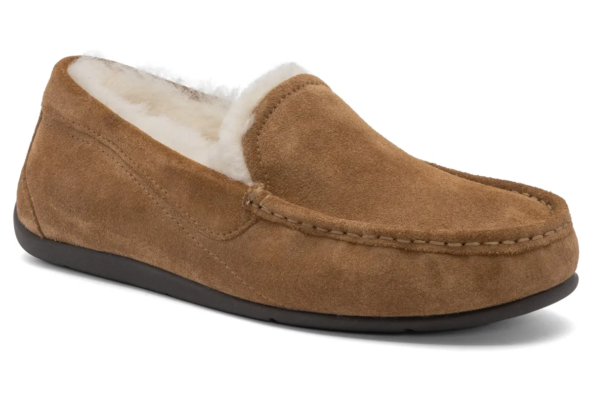 ABEO Amble Slipper-Women Standard | Slippers