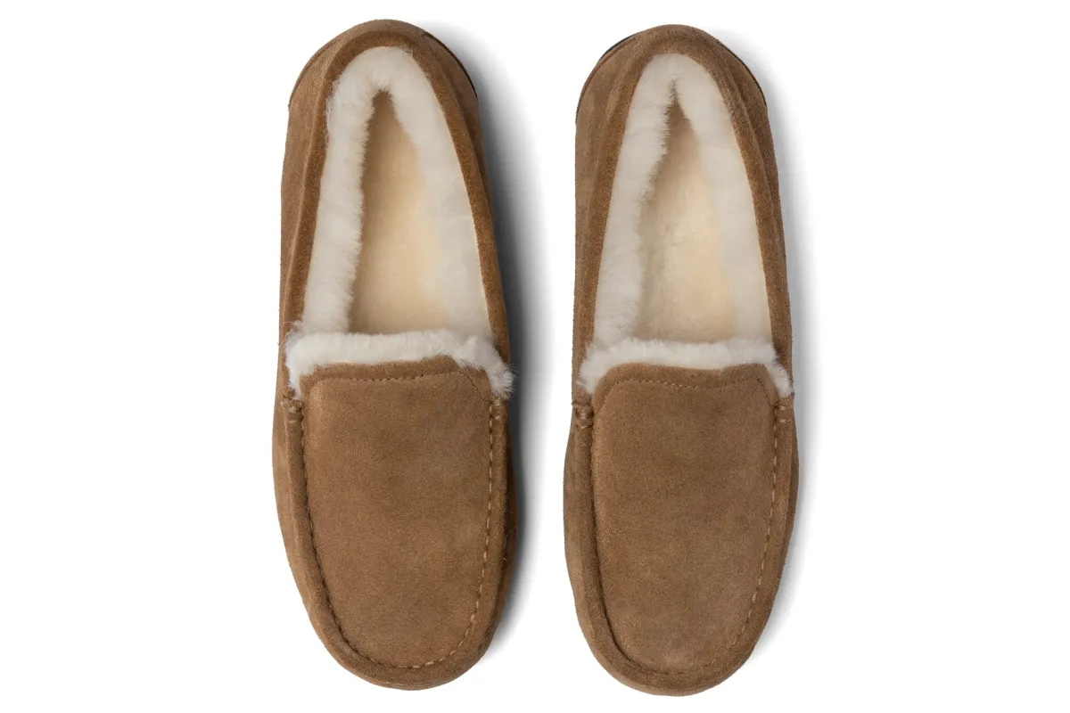 ABEO Amble Slipper-Women Standard | Slippers