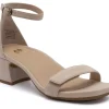 ABEO Avenue Strap-Women Standard | Education