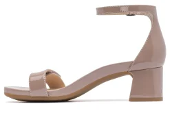 ABEO Avenue Strap-Women Standard | Education