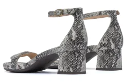 ABEO Avenue Strap-Women Standard | Education