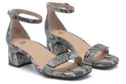 ABEO Avenue Strap-Women Standard | Education