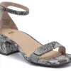 ABEO Avenue Strap Metatarsal-Women Standard | Education
