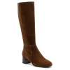 ABEO Avenue Tall-Women Standard | Education