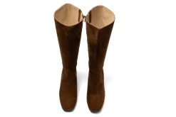 ABEO Avenue Tall-Women Standard | Education