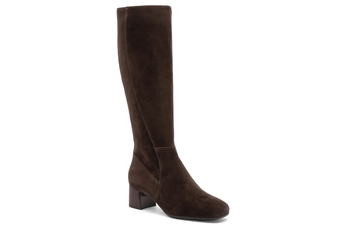 ABEO Avenue Tall Metatarsal-Women Standard | Education