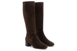 ABEO Avenue Tall Metatarsal-Women Standard | Education