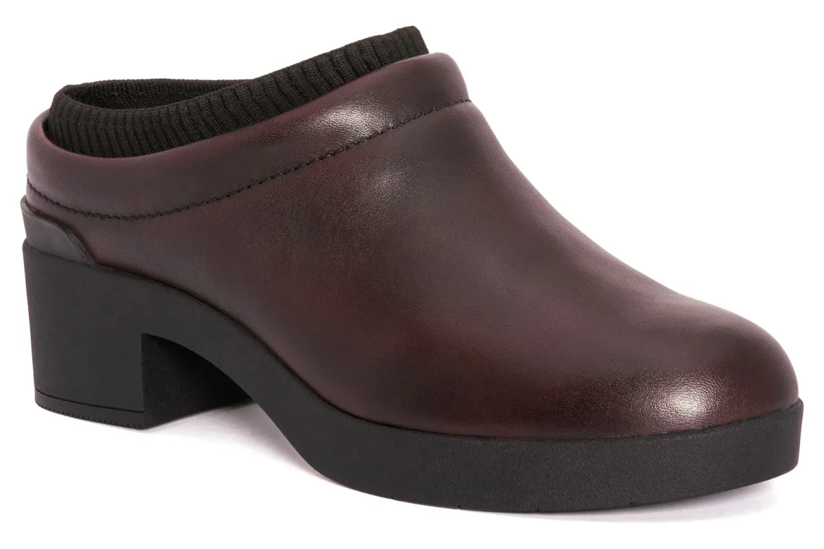 ABEO Capital Clog Metatarsal-Women Standard | Education