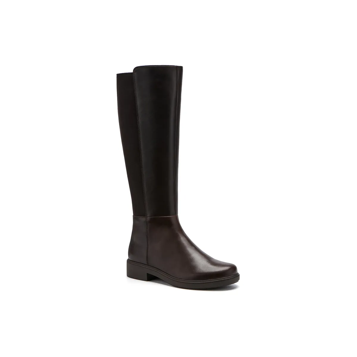 ABEO Compass Stretch-Women Standard | Service