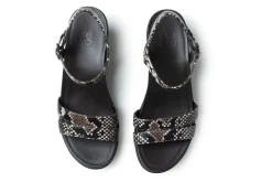ABEO Faith-Women Standard | Education