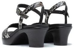 ABEO Faith-Women Standard | Education