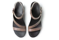 ABEO Flora-Women Standard | Education