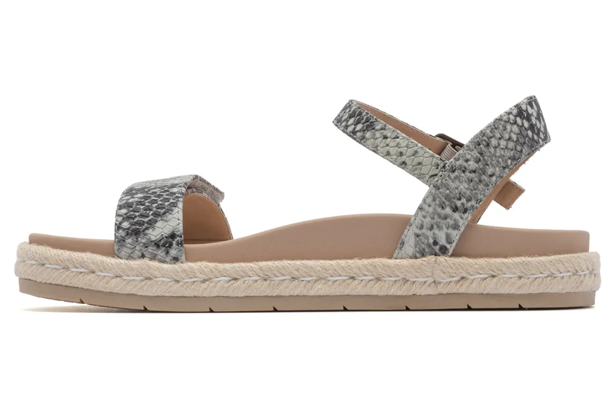 ABEO Isle Strap-Women Standard | Education