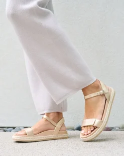 ABEO Isle Strap-Women Standard | Education