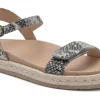 ABEO Isle Strap Metatarsal-Women Standard | Education