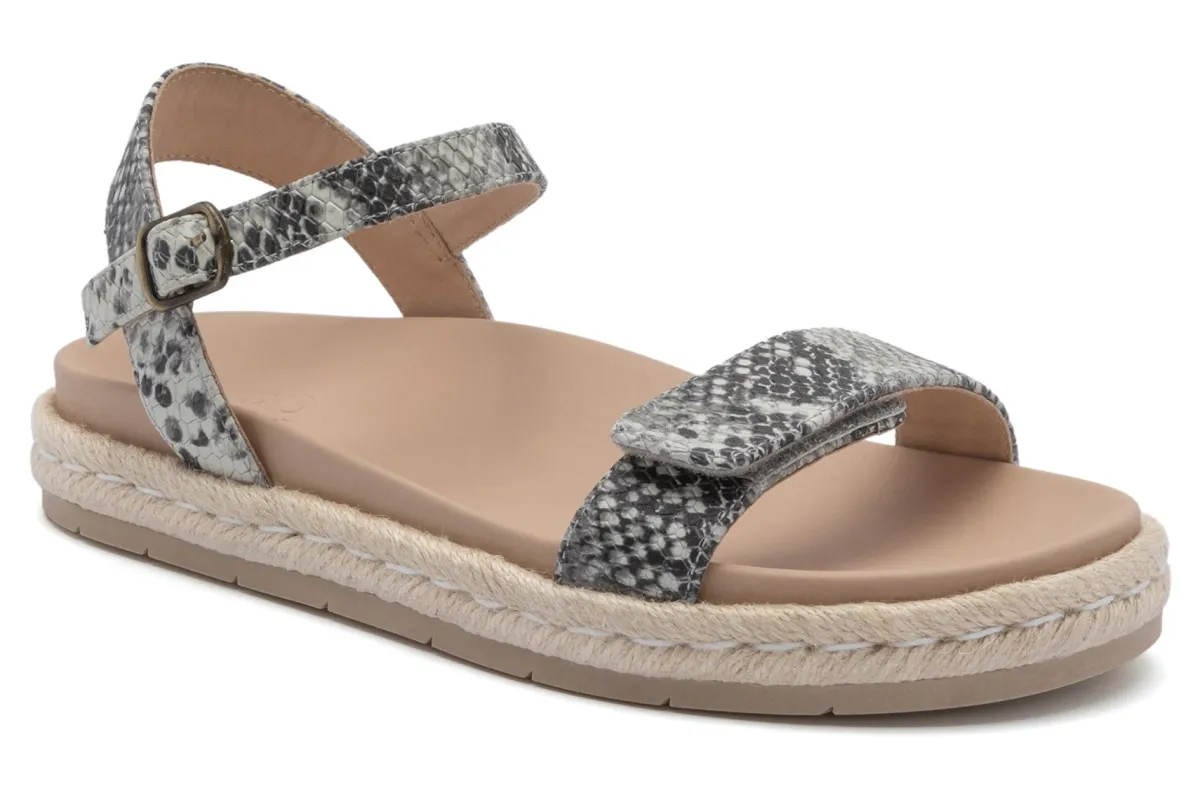 ABEO Isle Strap Metatarsal-Women Standard | Education