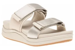 ABEO Jewel-Women Standard | Active