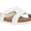ABEO Lanai Slide Metatarsal-Women Standard | Education