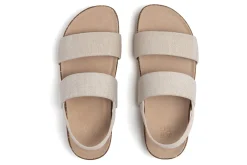 ABEO Lanai Triple Metatarsal-Women Standard | Education