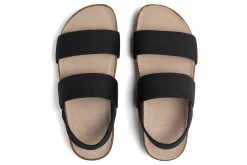 ABEO Lanai Triple Metatarsal-Women Standard | Education