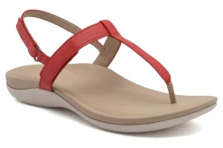 ABEO Oasis T Strap-Women Standard | Education