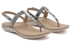 ABEO Oasis T Strap-Women Standard | Education