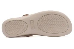 ABEO Oasis T Strap-Women Standard | Education