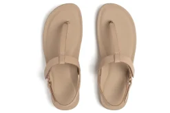 ABEO Oasis T Strap-Women Standard | Education