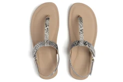 ABEO Oasis T Strap-Women Standard | Education