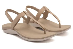 ABEO Oasis T Strap-Women Standard | Education