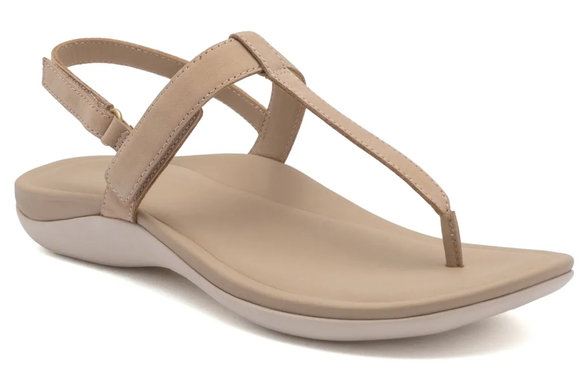 ABEO Oasis T Strap Metatarsal-Women Standard | Education