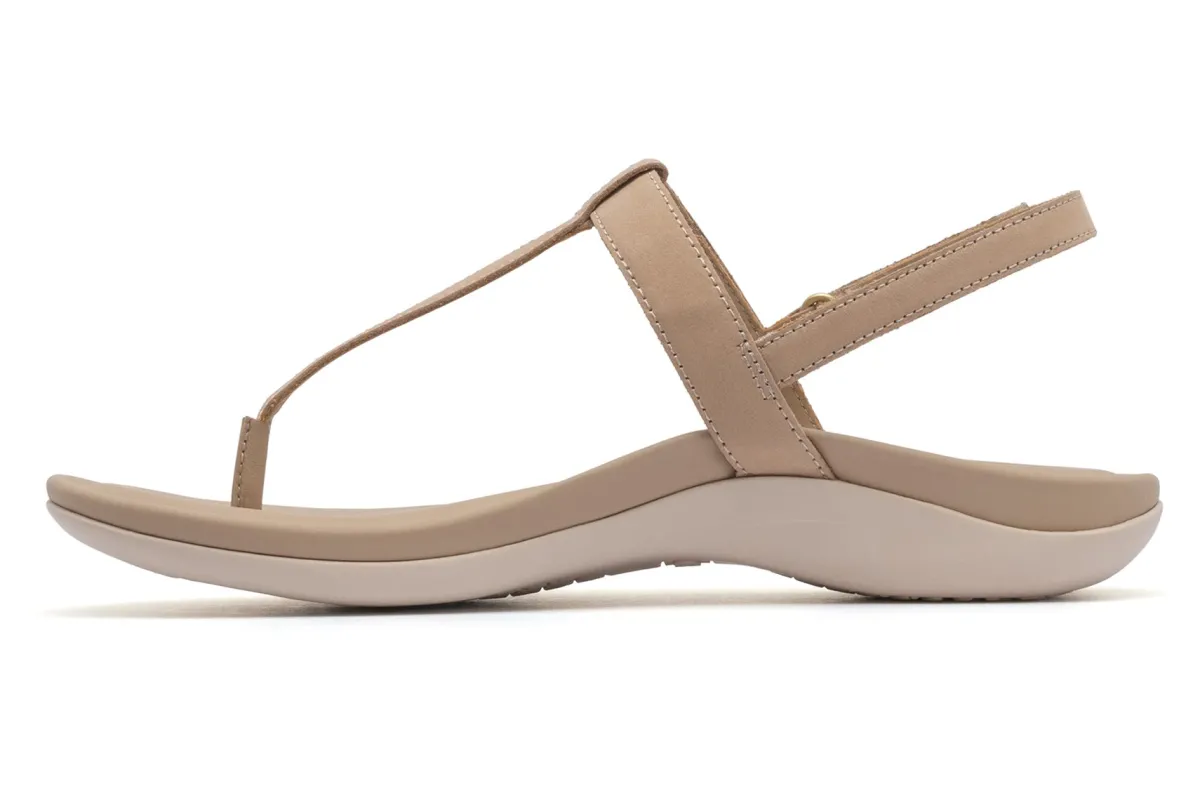ABEO Oasis T Strap Metatarsal-Women Standard | Education