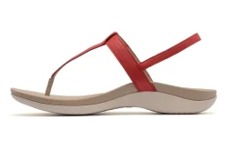 ABEO Oasis T Strap Metatarsal-Women Standard | Education