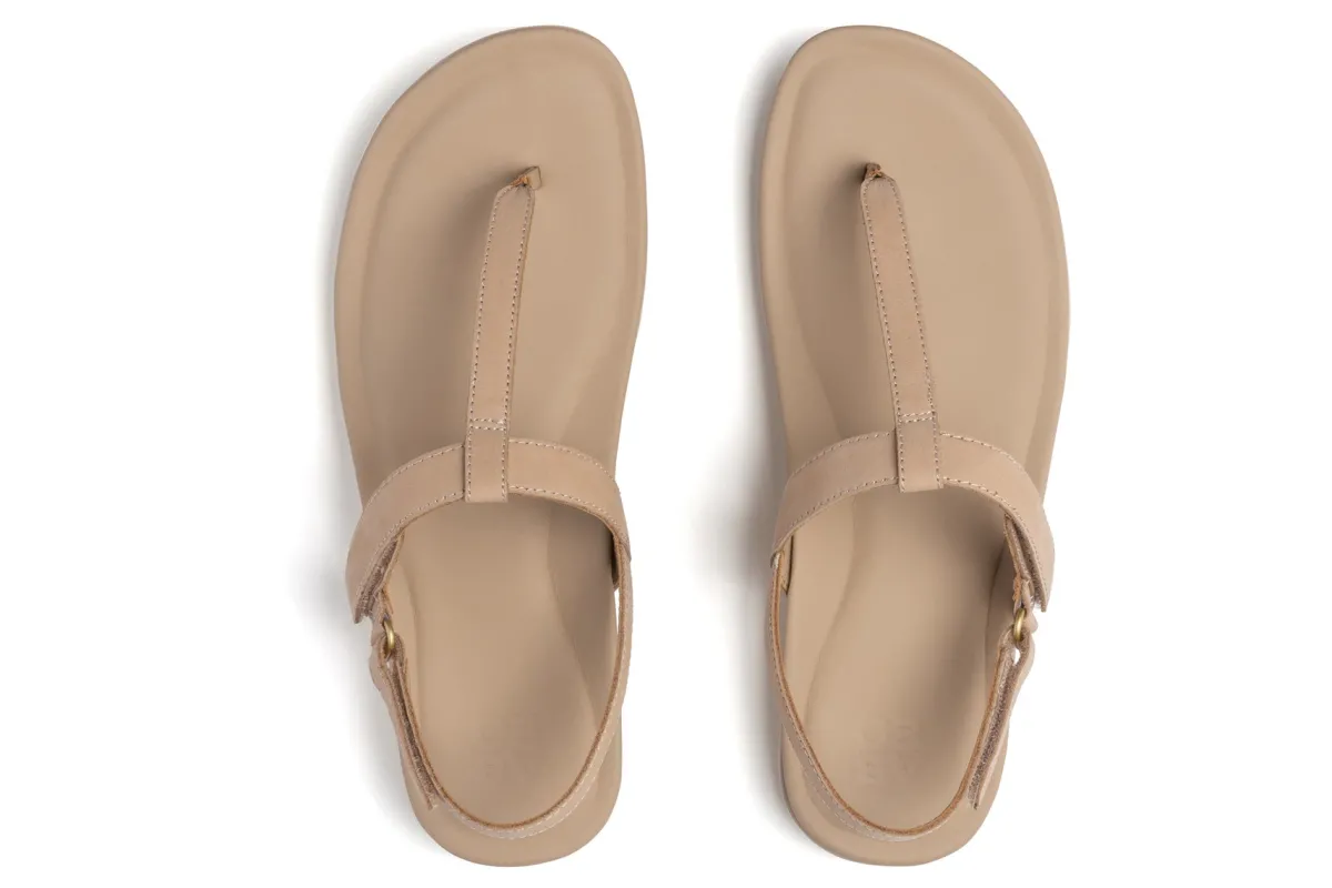 ABEO Oasis T Strap Metatarsal-Women Standard | Education