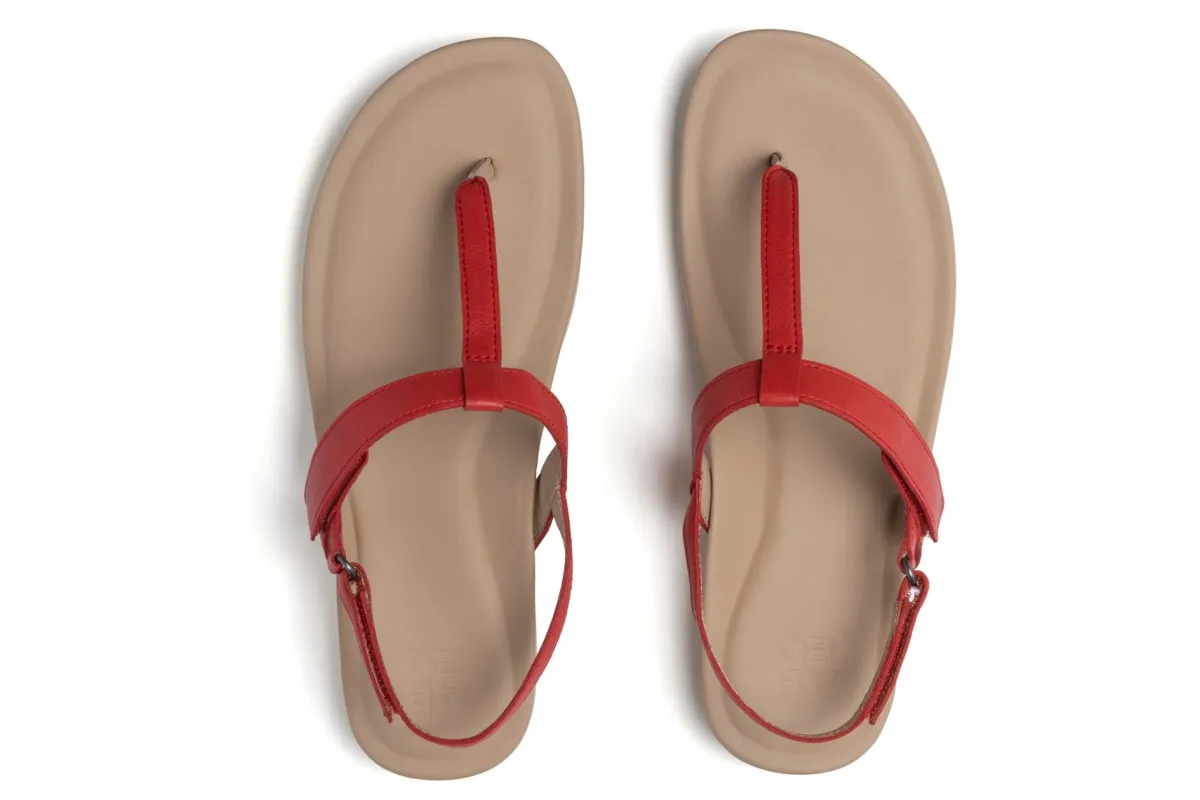 ABEO Oasis T Strap Metatarsal-Women Standard | Education
