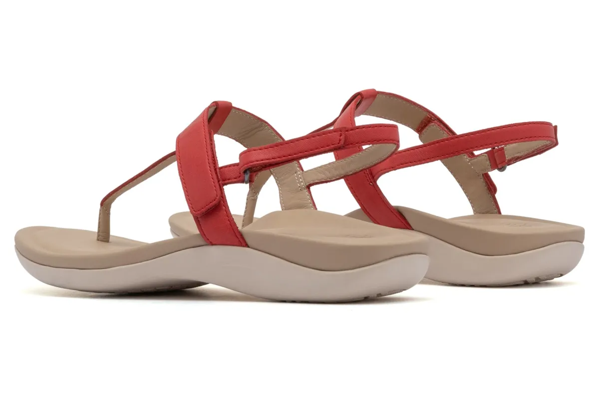 ABEO Oasis T Strap Metatarsal-Women Standard | Education