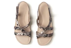 ABEO Ollie-Women Standard | Sandals