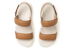 ABEO Paseo Sandal-Women Standard | Education