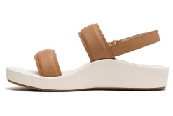 ABEO Paseo Sandal-Women Standard | Education