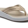 ABEO Paseo Thong Sandal-Women Standard | Education