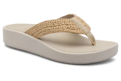 ABEO Paseo Thong Sandal Metatarsal-Women Standard | Education