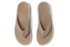 ABEO Paseo Thong Sandal Metatarsal-Women Standard | Education