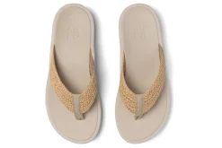 ABEO Paseo Thong Sandal Metatarsal-Women Standard | Education