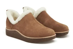 ABEO Pioneer Bootie-Women Standard | Education