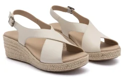 ABEO Riviera Cross-Women Standard | Education