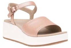 ABEO Solstice Buckle Sandal-Women Standard | Education