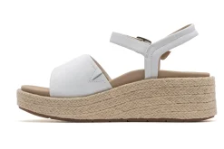 ABEO Solstice Buckle Sandal-Women Standard | Education