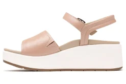 ABEO Solstice Buckle Sandal-Women Standard | Education